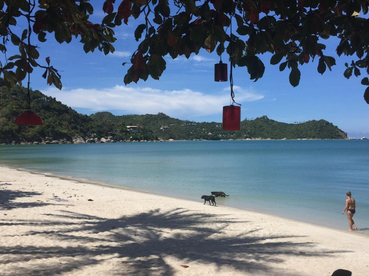 The Hill Village Thong Nai Pan Noi Exteriör bild